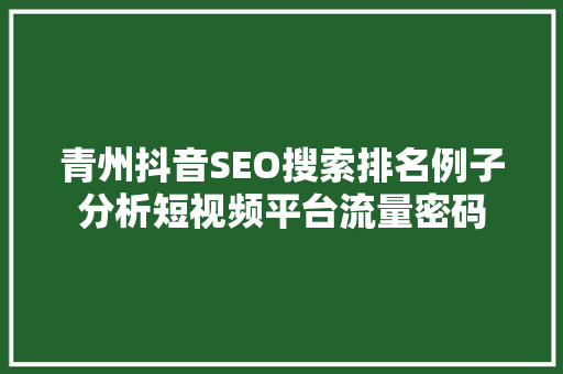 青州抖音SEO搜索排名例子分析短视频平台流量密码
