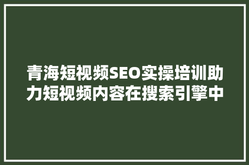 青海短视频SEO实操培训助力短视频内容在搜索引擎中脱颖而出