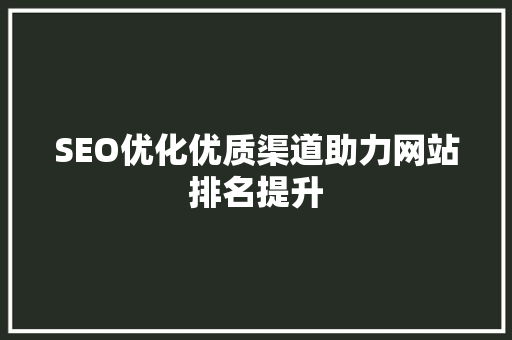 SEO优化优质渠道助力网站排名提升