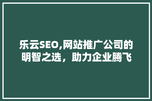 乐云SEO,网站推广公司的明智之选，助力企业腾飞  第1张