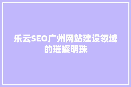 乐云SEO广州网站建设领域的璀璨明珠