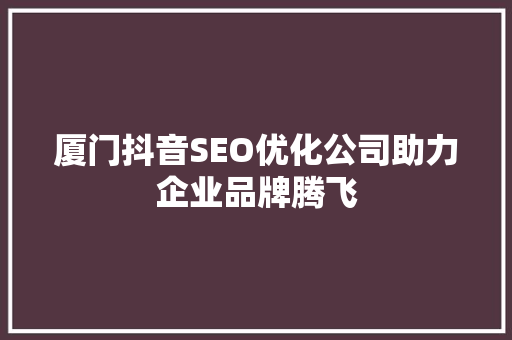 厦门抖音SEO优化公司助力企业品牌腾飞