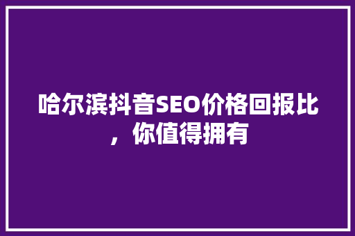 哈尔滨抖音SEO价格回报比，你值得拥有