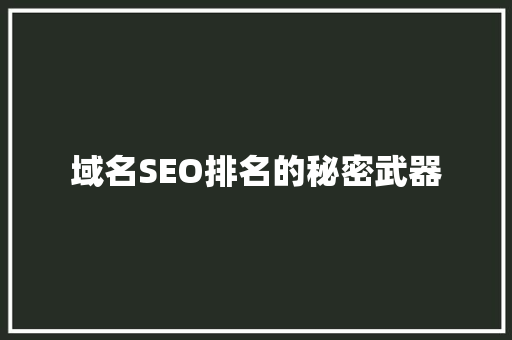 域名SEO排名的秘密武器