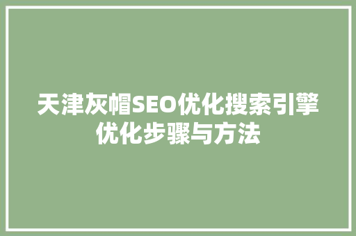 天津灰帽SEO优化搜索引擎优化步骤与方法