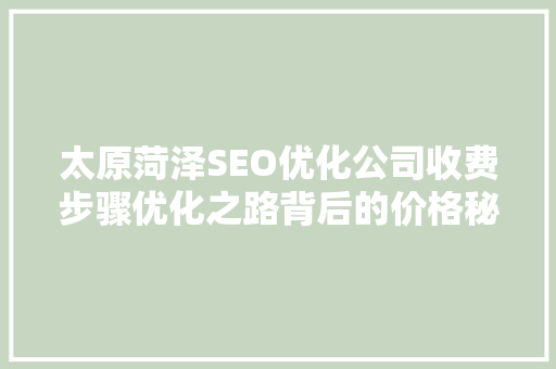 太原菏泽SEO优化公司收费步骤优化之路背后的价格秘密