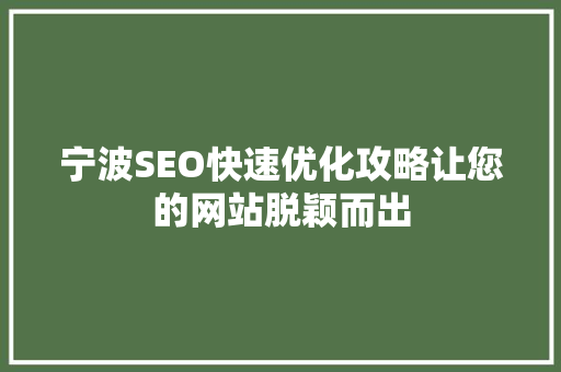宁波SEO快速优化攻略让您的网站脱颖而出