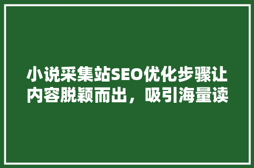 小说采集站SEO优化步骤让内容脱颖而出，吸引海量读者