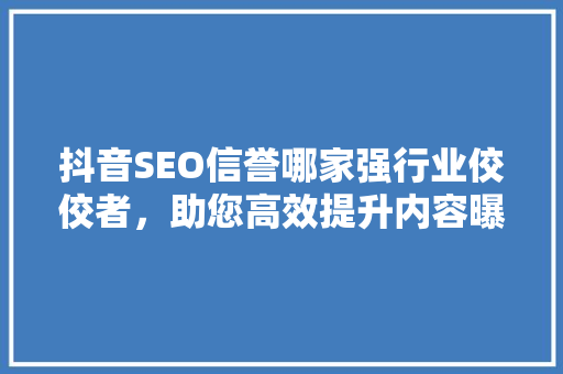 抖音SEO信誉哪家强行业佼佼者，助您高效提升内容曝光率