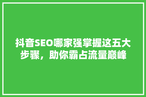 抖音SEO哪家强掌握这五大步骤，助你霸占流量巅峰