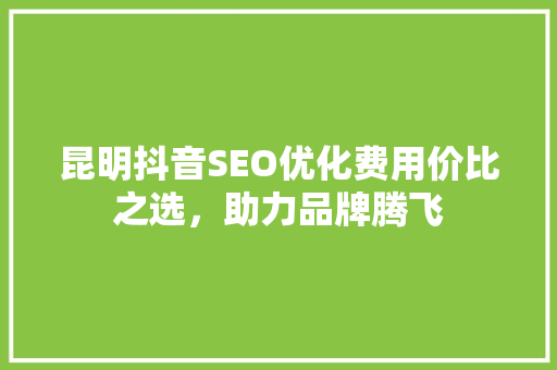 昆明抖音SEO优化费用价比之选，助力品牌腾飞