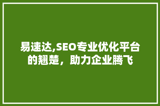 易速达,SEO专业优化平台的翘楚，助力企业腾飞