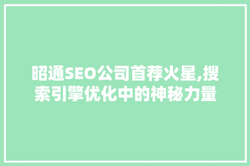 昭通SEO公司首荐火星,搜索引擎优化中的神秘力量