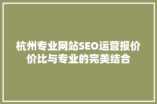 杭州专业网站SEO运营报价价比与专业的完美结合