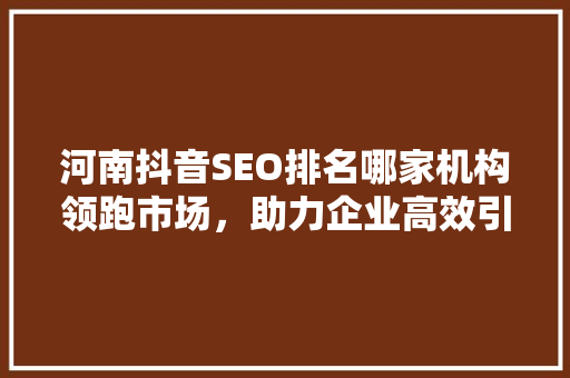 河南抖音SEO排名哪家机构领跑市场，助力企业高效引流