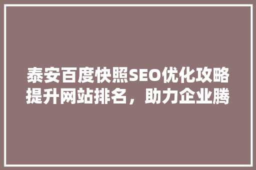 泰安百度快照SEO优化攻略提升网站排名，助力企业腾飞