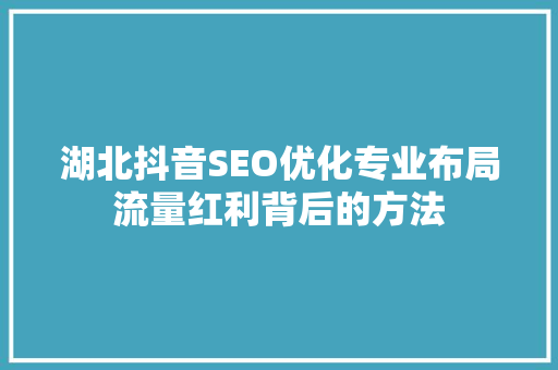 湖北抖音SEO优化专业布局流量红利背后的方法