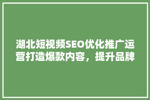 湖北短视频SEO优化推广运营打造爆款内容，提升品牌影响力