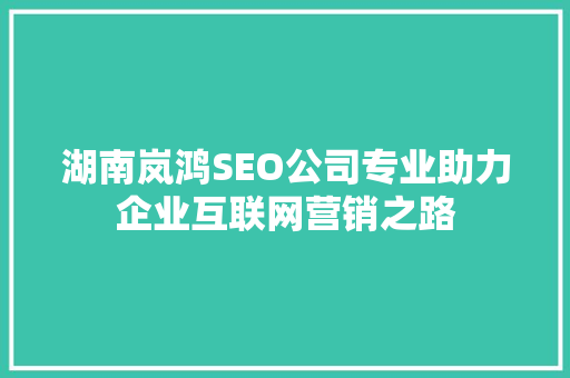 湖南岚鸿SEO公司专业助力企业互联网营销之路