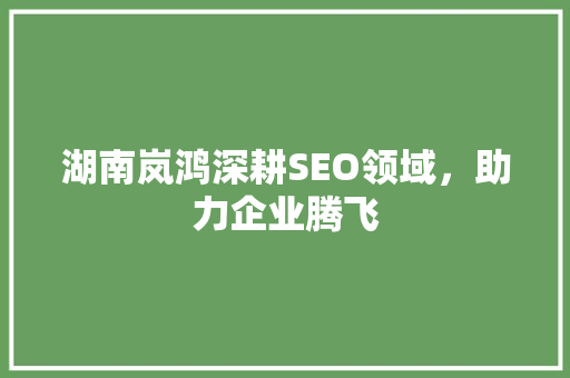 湖南岚鸿深耕SEO领域，助力企业腾飞