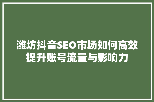 潍坊抖音SEO市场如何高效提升账号流量与影响力