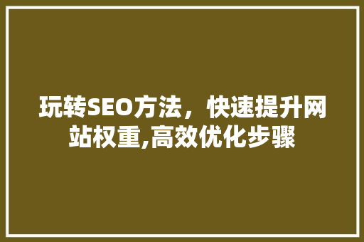 玩转SEO方法，快速提升网站权重,高效优化步骤