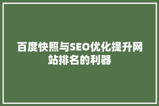 百度快照与SEO优化提升网站排名的利器
