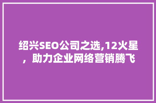 绍兴SEO公司之选,12火星，助力企业网络营销腾飞