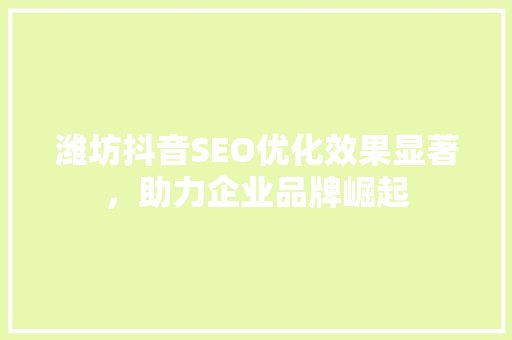 潍坊抖音SEO优化效果显著，助力企业品牌崛起