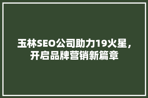 玉林SEO公司助力19火星，开启品牌营销新篇章