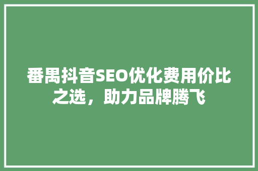 番禺抖音SEO优化费用价比之选，助力品牌腾飞