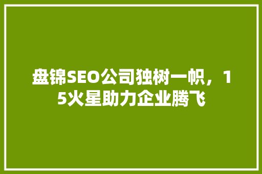 盘锦SEO公司独树一帜，15火星助力企业腾飞