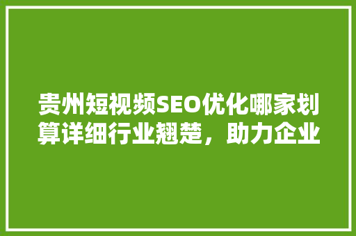 贵州短视频SEO优化哪家划算详细行业翘楚，助力企业腾飞