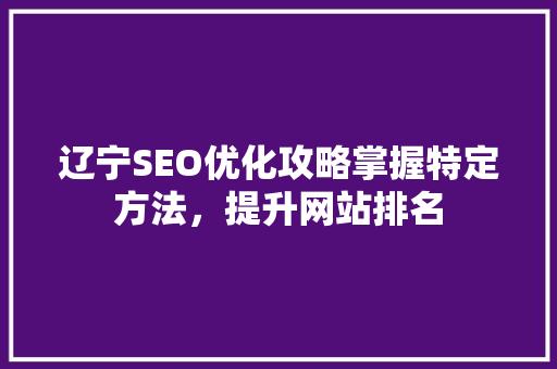 辽宁SEO优化攻略掌握特定方法，提升网站排名