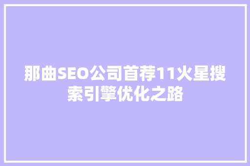 那曲SEO公司首荐11火星搜索引擎优化之路