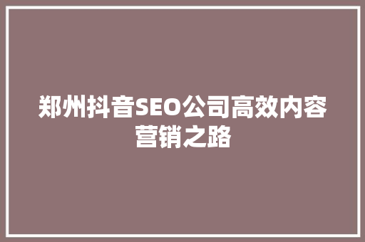 郑州抖音SEO公司高效内容营销之路
