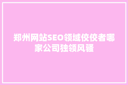 郑州网站SEO领域佼佼者哪家公司独领风骚