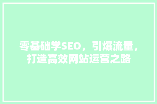 零基础学SEO，引爆流量，打造高效网站运营之路