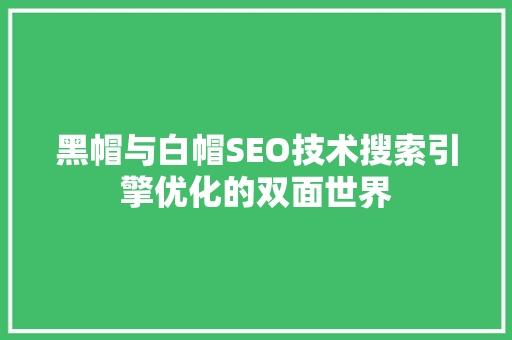 黑帽与白帽SEO技术搜索引擎优化的双面世界