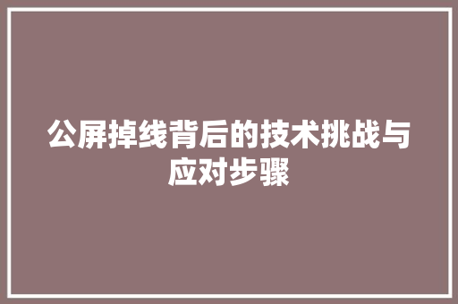 公屏掉线背后的技术挑战与应对步骤