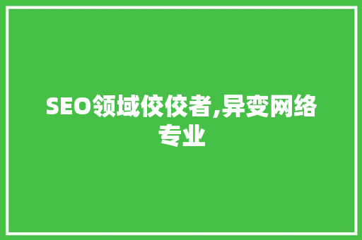 SEO领域佼佼者,异变网络专业
