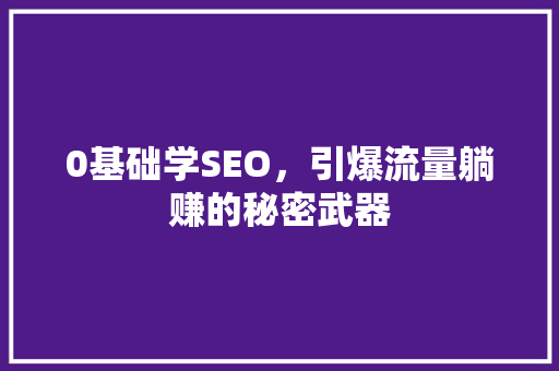 0基础学SEO，引爆流量躺赚的秘密武器