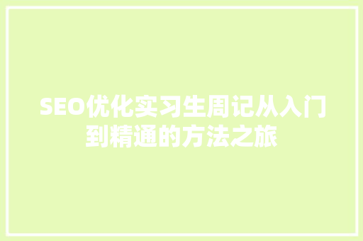 SEO优化实习生周记从入门到精通的方法之旅