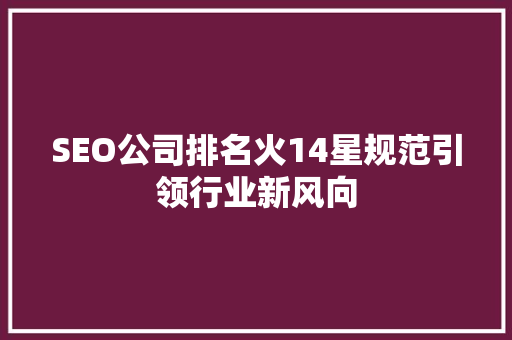 SEO公司排名火14星规范引领行业新风向
