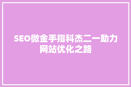 SEO微金手指科杰二一助力网站优化之路