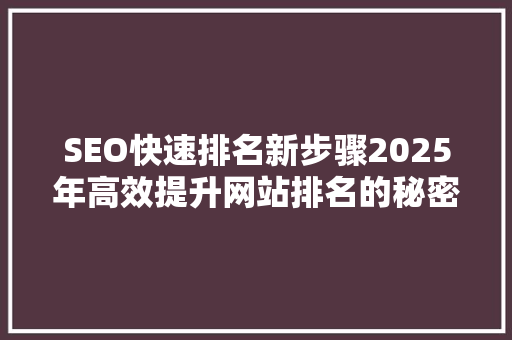 SEO快速排名新步骤2025年高效提升网站排名的秘密武器
