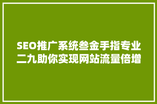 SEO推广系统叁金手指专业二九助你实现网站流量倍增