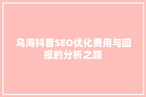 乌海抖音SEO优化费用与回报的分析之路