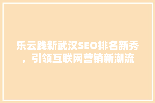 乐云践新武汉SEO排名新秀，引领互联网营销新潮流