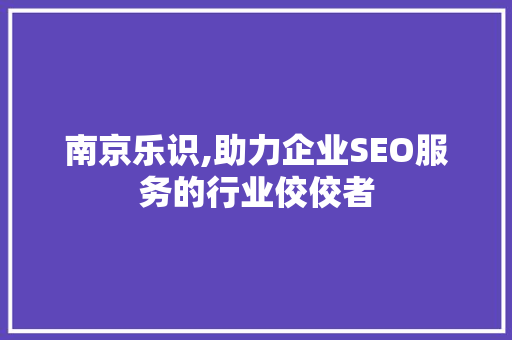 南京乐识,助力企业SEO服务的行业佼佼者